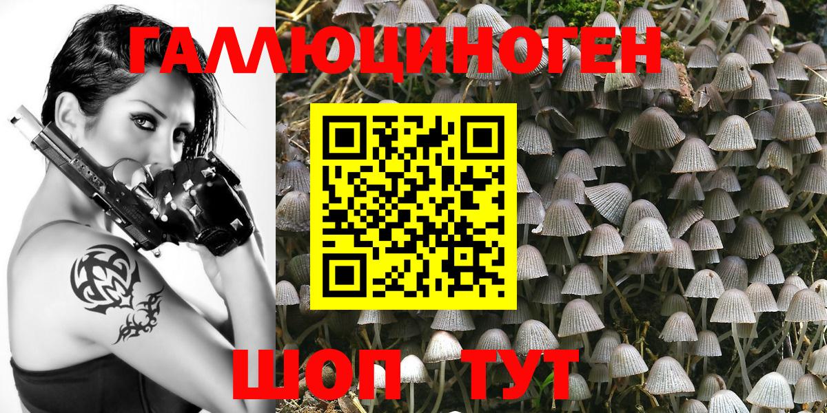 Галлюциногенные грибы MAGIC MUSHROOMS  Вход с VPN  Псилоцибиновые грибы Psilocybe  Ноябрьск 