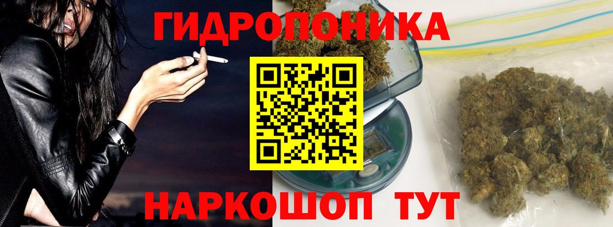 Шишки марихуана план Ноябрьск